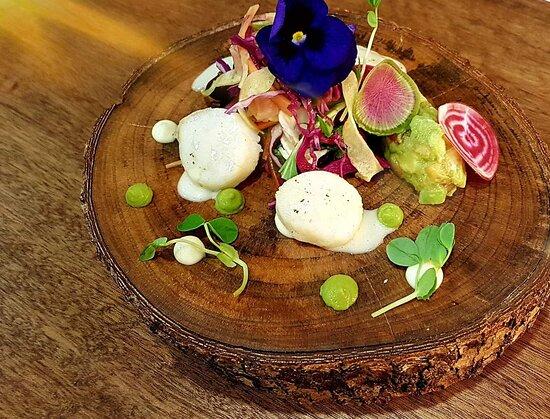 Kondalilla Restaurant